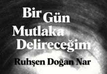Bir Gün Mutlaka Delireceğim