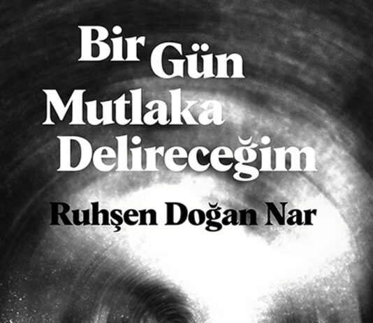 Bir Gün Mutlaka Delireceğim